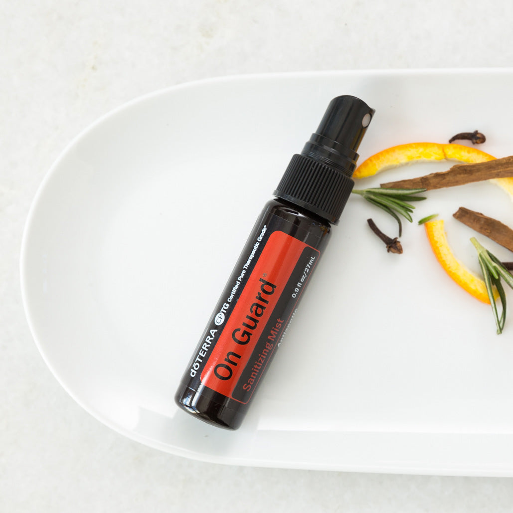 On Guard Handreinigungsspray