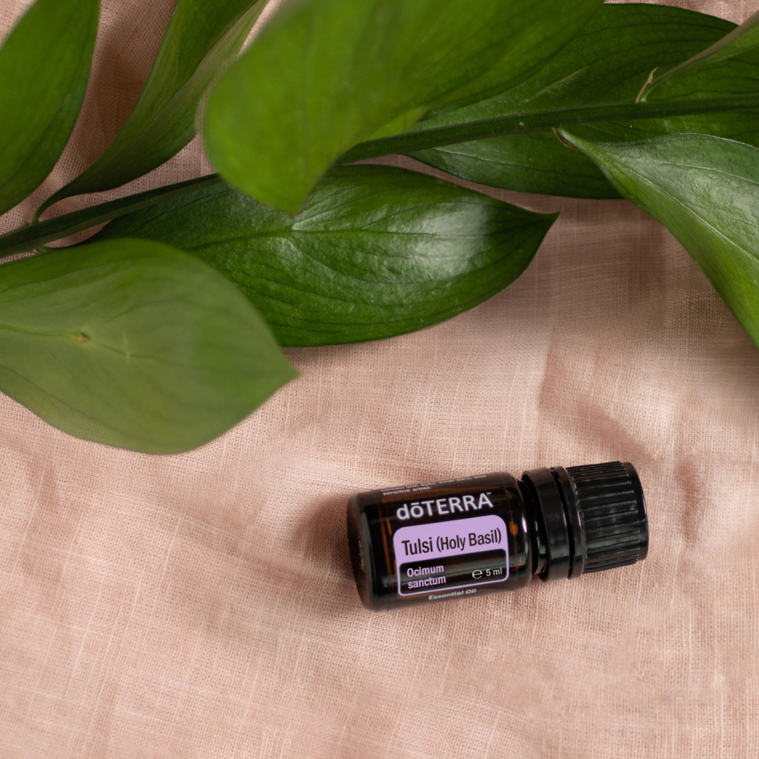 Organic lavender oil