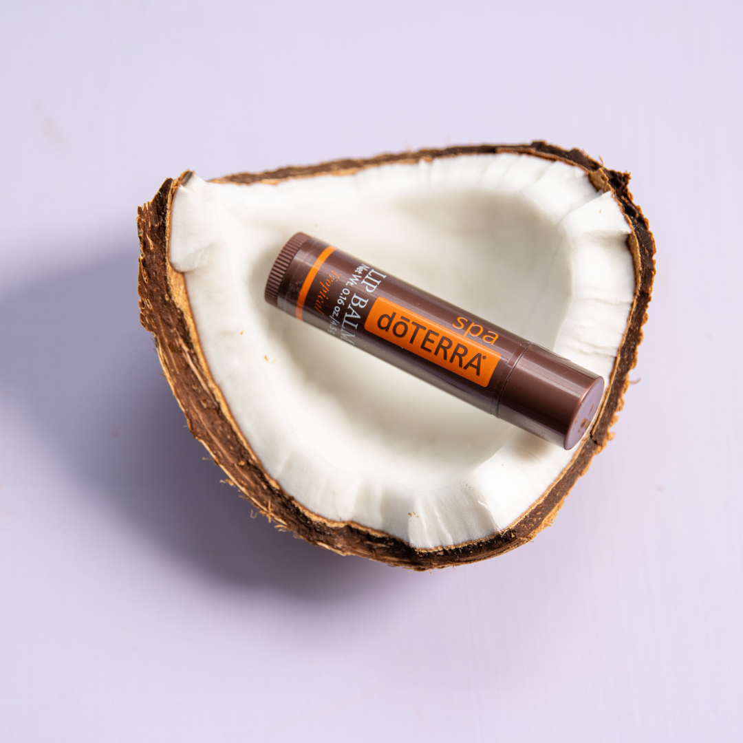 Organic lip moisturizer