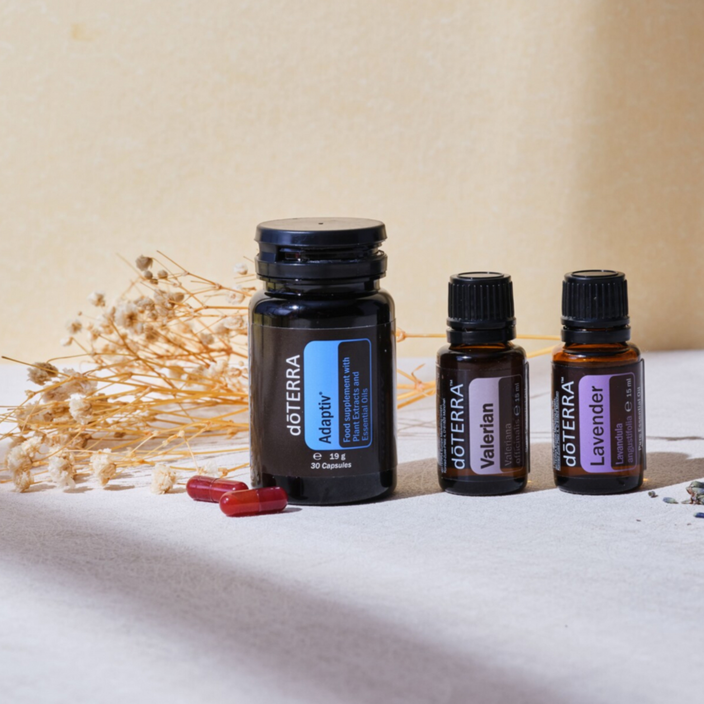 2025 Autumn Exclusives Kit