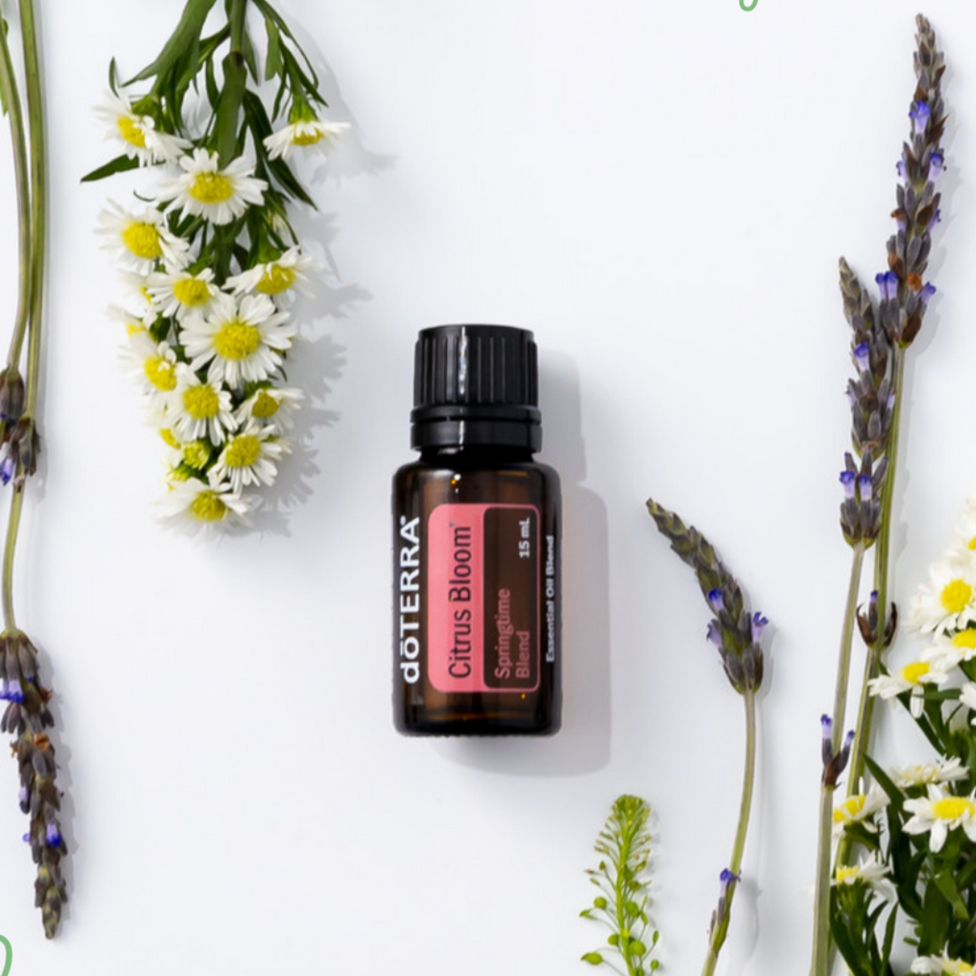 DoTERRA Lavendelöl für Wellness
