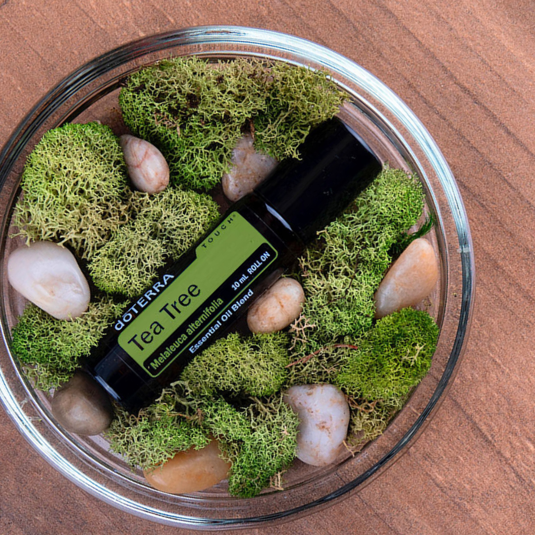 DoTERRA ätherische Öle Erfahrungen teilen