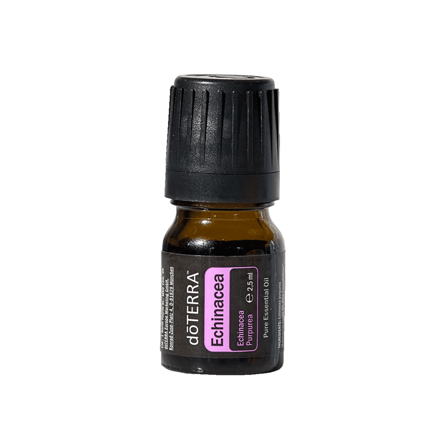 Echinacea