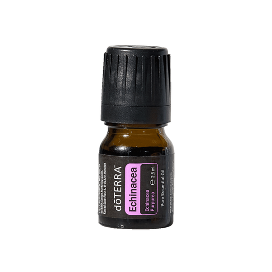 Echinacea
