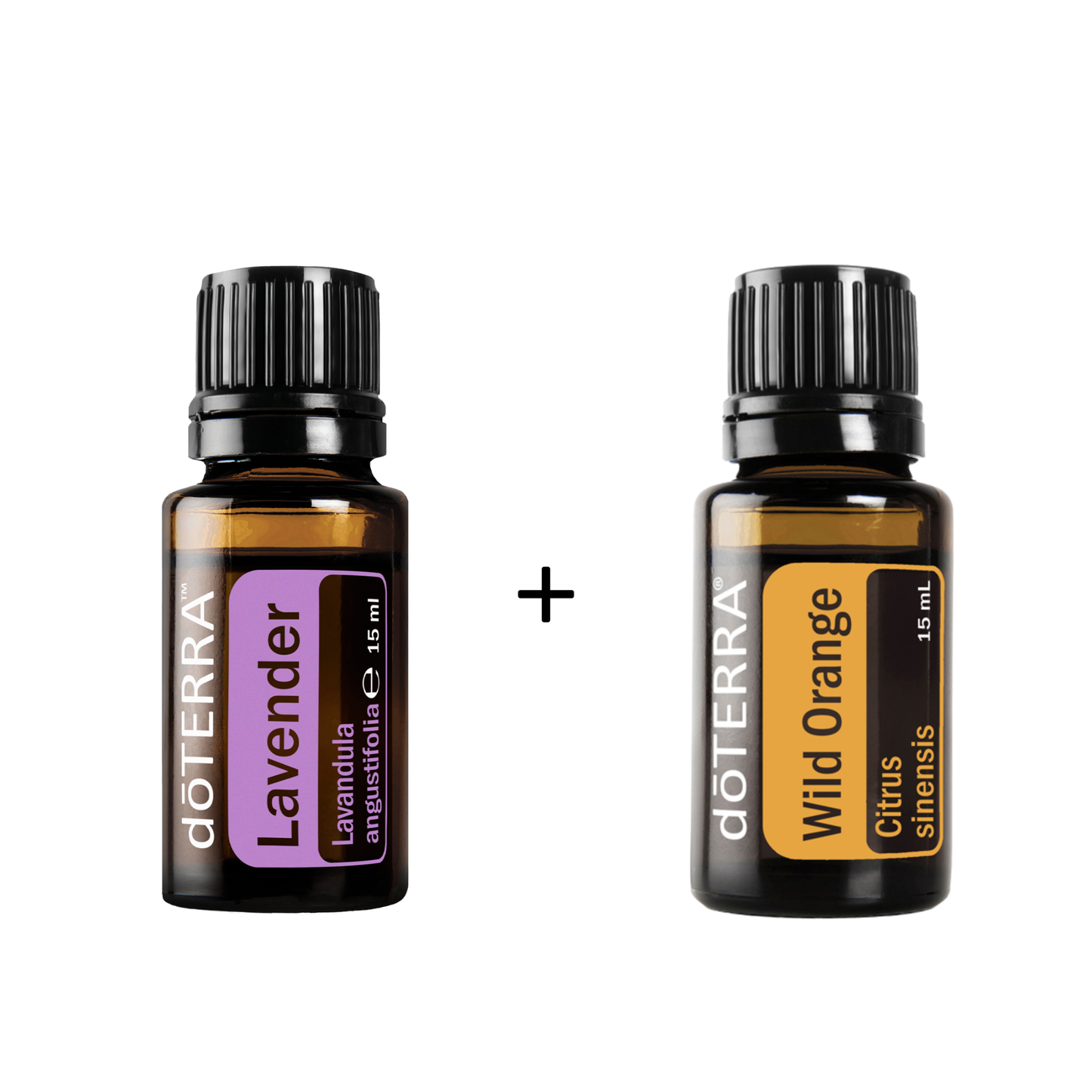 Ruhe & Leichtigkeit (Back to School BOGO)
