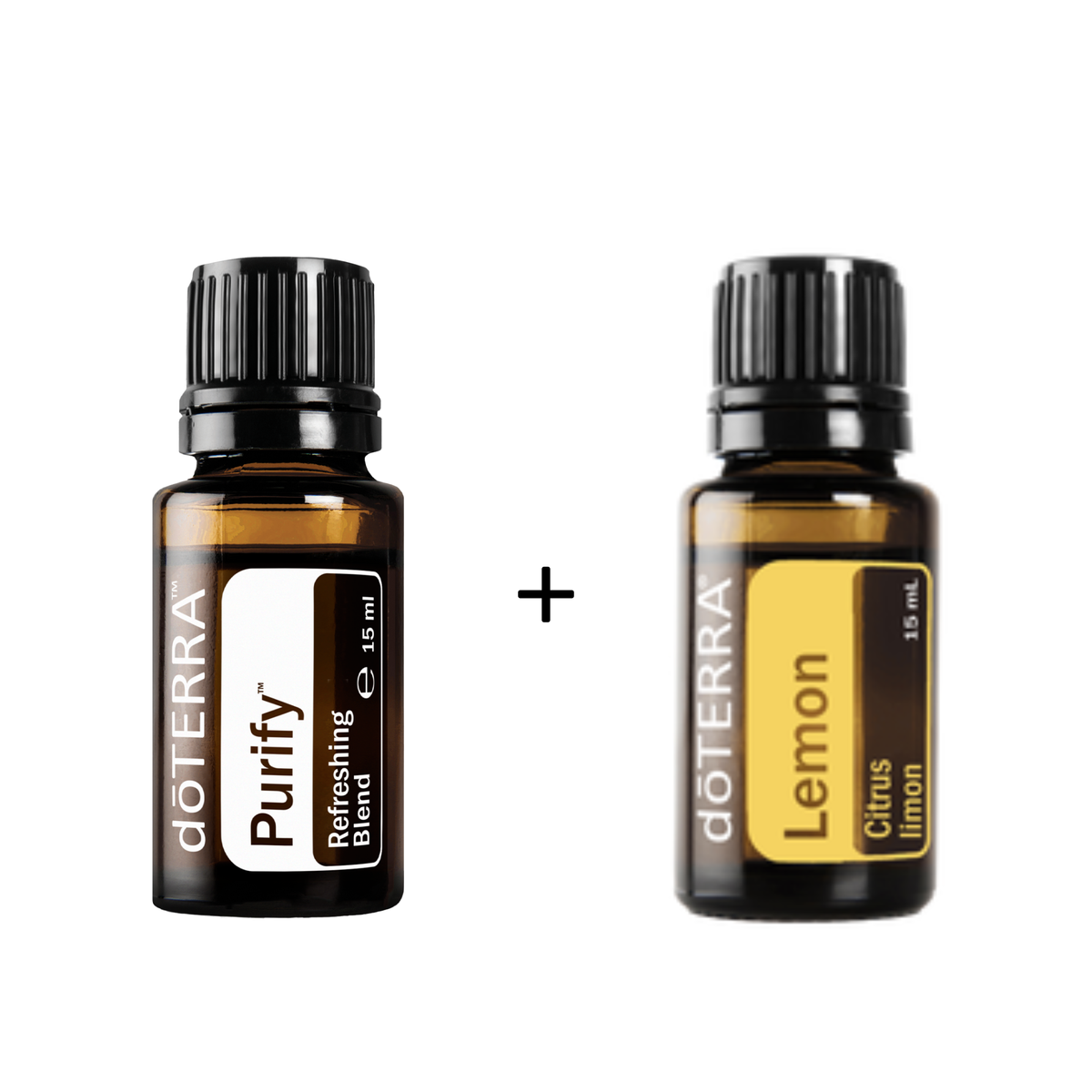Frisch & Leicht (Back to School BOGO)
